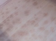 桐たんすのカビと黒ズミについて | 桐たんす（桐箪笥）の製造販売